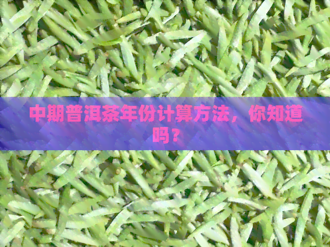 中期普洱茶年份计算方法，你知道吗？