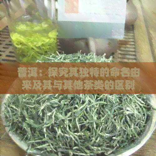 普洱：探究其独特的命名由来及其与其他茶类的区别