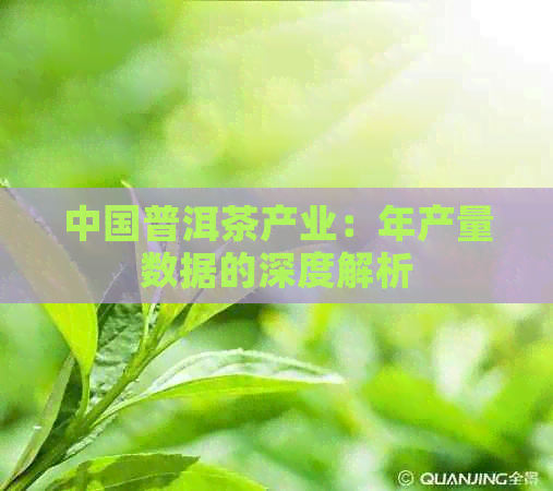 中国普洱茶产业：年产量数据的深度解析