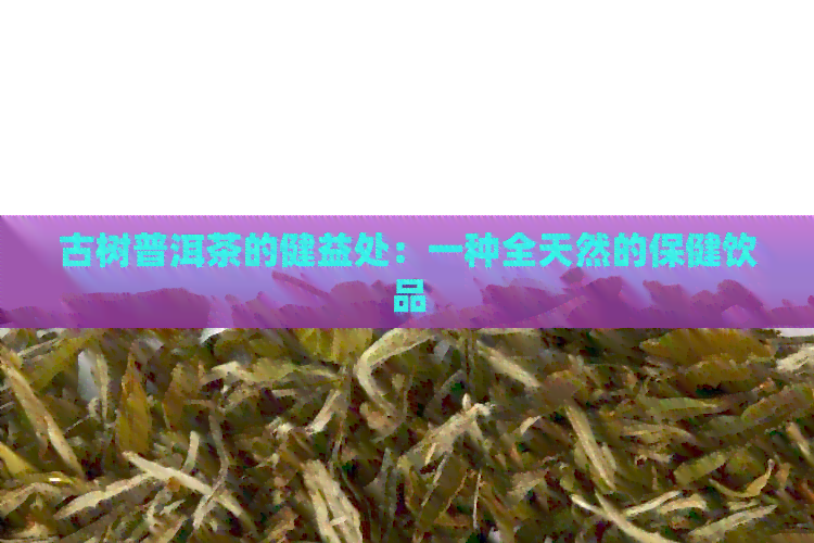 古树普洱茶的健益处：一种全天然的保健饮品