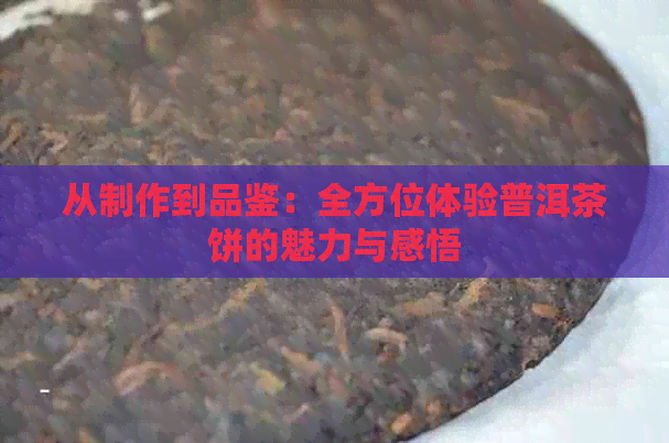 从制作到品鉴：全方位体验普洱茶饼的魅力与感悟