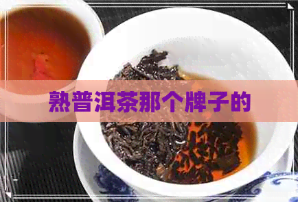 熟普洱茶那个牌子的