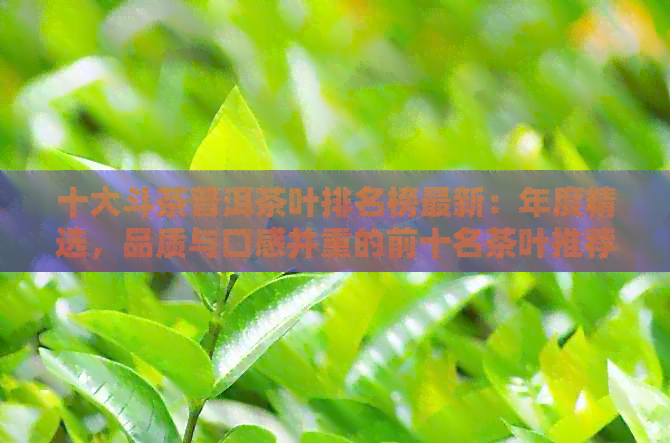 十大斗茶普洱茶叶排名榜最新：年度精选，品质与口感并重的前十名茶叶推荐