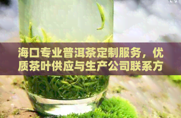 海口专业普洱茶定制服务，优质茶叶供应与生产公司联系方式