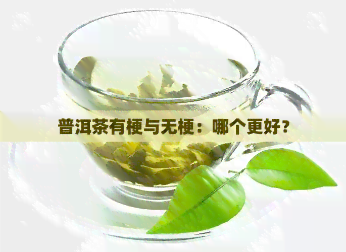 普洱茶有梗与无梗：哪个更好？