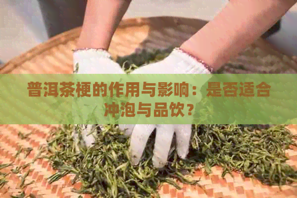 普洱茶梗的作用与影响：是否适合冲泡与品饮？