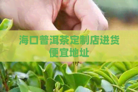 海口普洱茶定制店进货便宜地址