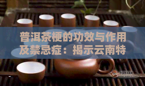 普洱茶梗的功效与作用及禁忌症：揭示云南特产的价值与注意事项