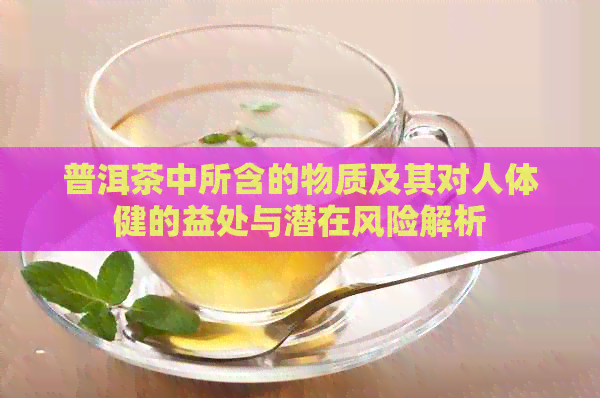 普洱茶中所含的物质及其对人体健的益处与潜在风险解析