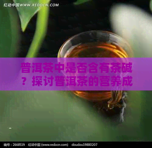 普洱茶中是否含有茶碱？探讨普洱茶的营养成分与功效