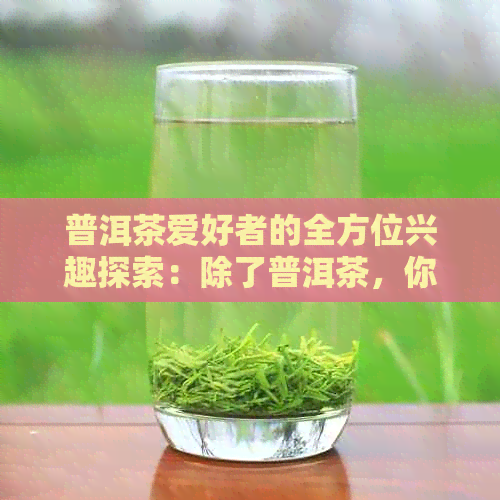 普洱茶爱好者的全方位兴趣探索：除了普洱茶，你还对什么感兴趣？