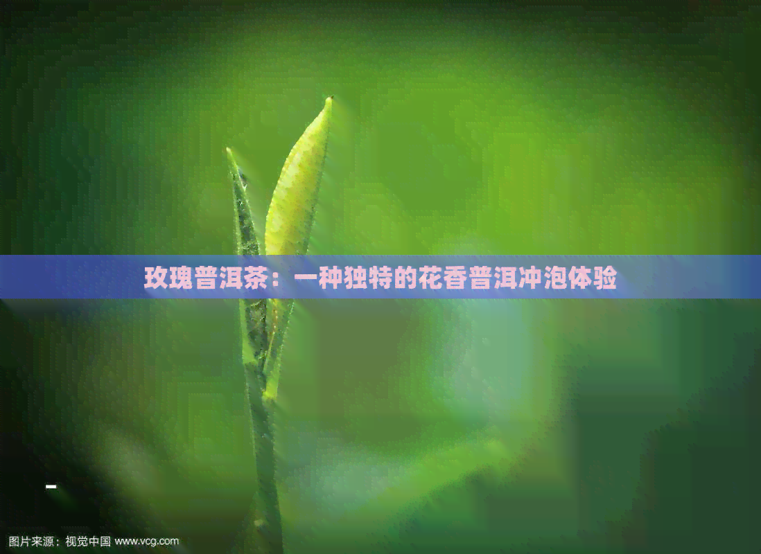 玫瑰普洱茶：一种独特的花香普洱冲泡体验