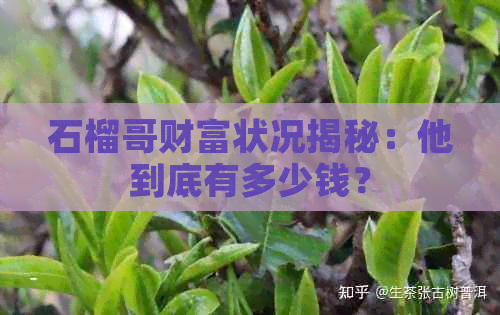 石榴哥财富状况揭秘：他到底有多少钱？