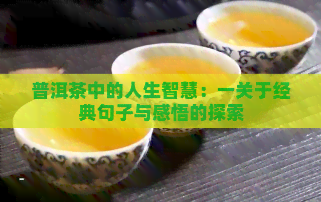 普洱茶中的人生智慧：一关于经典句子与感悟的探索