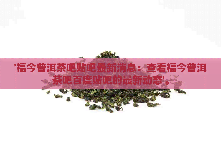 '福今普洱茶吧贴吧最新消息：查看福今普洱茶吧百度贴吧的最新动态'。