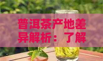 普洱茶产地差异解析：了解不同地区的茶叶特点与品质