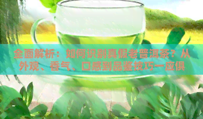 全面解析：如何识别真假老普洱茶？从外观、香气、口感到品鉴技巧一应俱全！