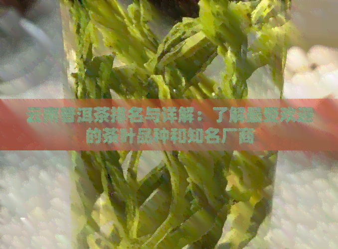 云南普洱茶排名与详解：了解更受欢迎的茶叶品种和知名厂商