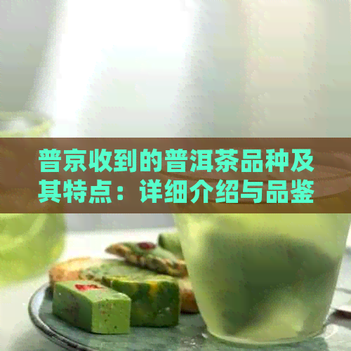 普京收到的普洱茶品种及其特点：详细介绍与品鉴攻略