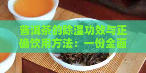 普洱茶的除湿功效与正确饮用方法：一份全面指南