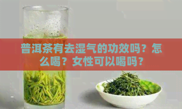 普洱茶有去湿气的功效吗？怎么喝？女性可以喝吗？