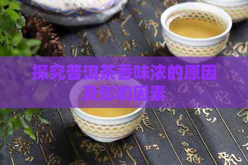 探究普洱茶香味浓的原因及影响因素