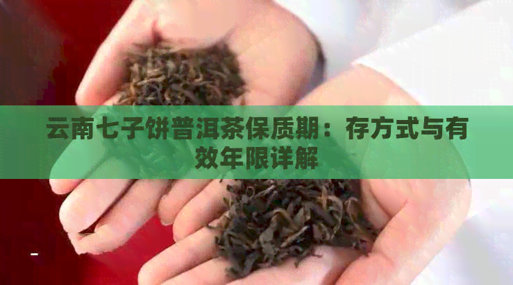 云南七子饼普洱茶保质期：存方式与有效年限详解