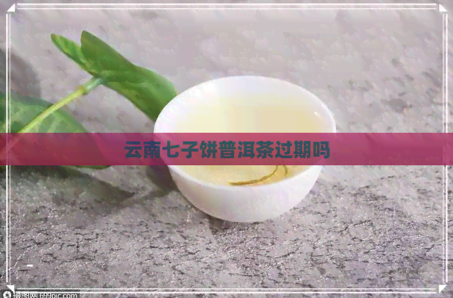 云南七子饼普洱茶过期吗