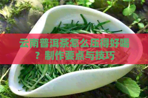 云南普洱茶怎么压得好喝？制作要点与技巧