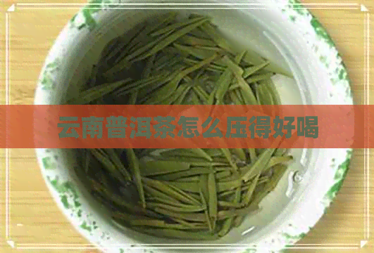 云南普洱茶怎么压得好喝