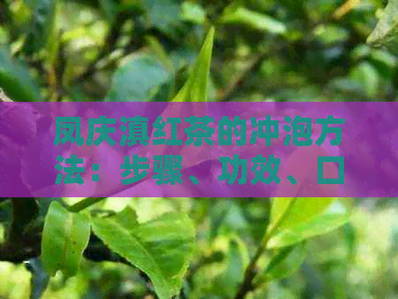 凤庆滇红茶的冲泡方法：步骤、功效、口感特点