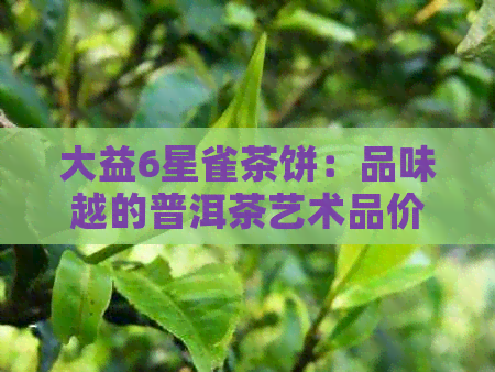 大益6星雀茶饼：品味越的普洱茶艺术品价格探讨