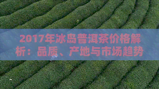 2017年冰岛普洱茶价格解析：品质、产地与市场趋势全面解读