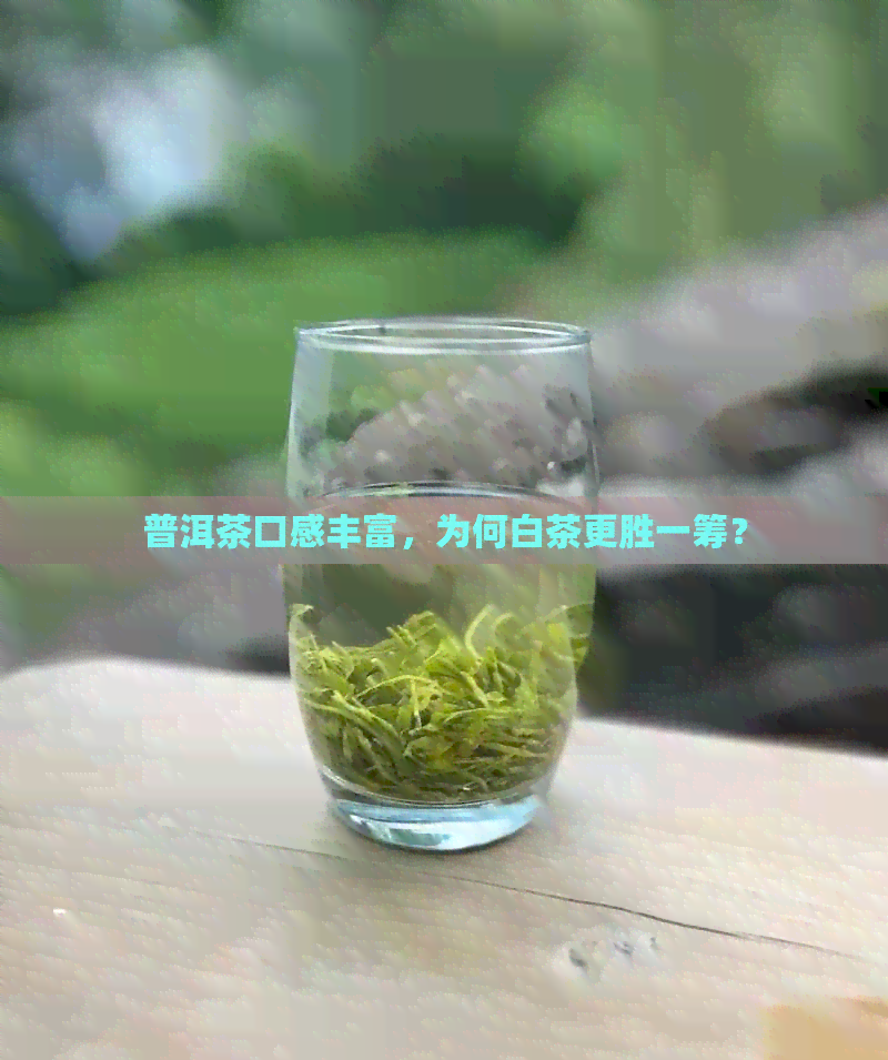 普洱茶口感丰富，为何白茶更胜一筹？