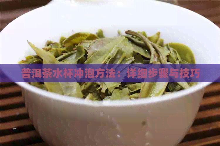 普洱茶水杯冲泡方法：详细步骤与技巧