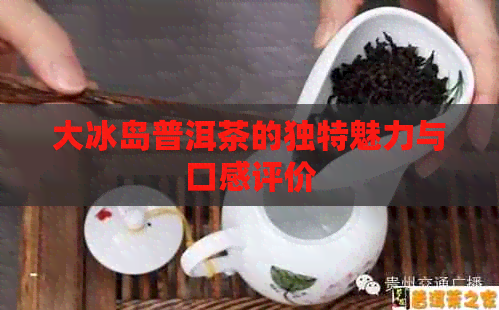 大冰岛普洱茶的独特魅力与口感评价