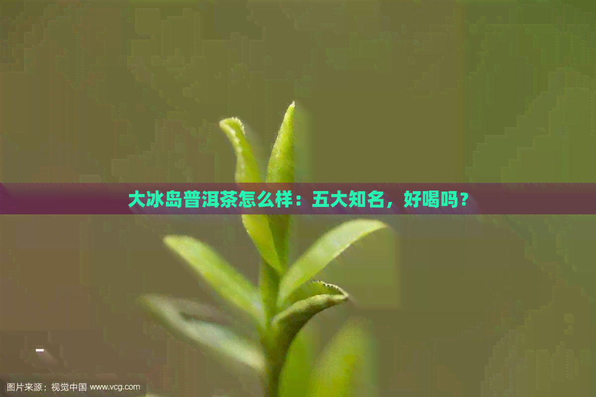 大冰岛普洱茶怎么样：五大知名，好喝吗？