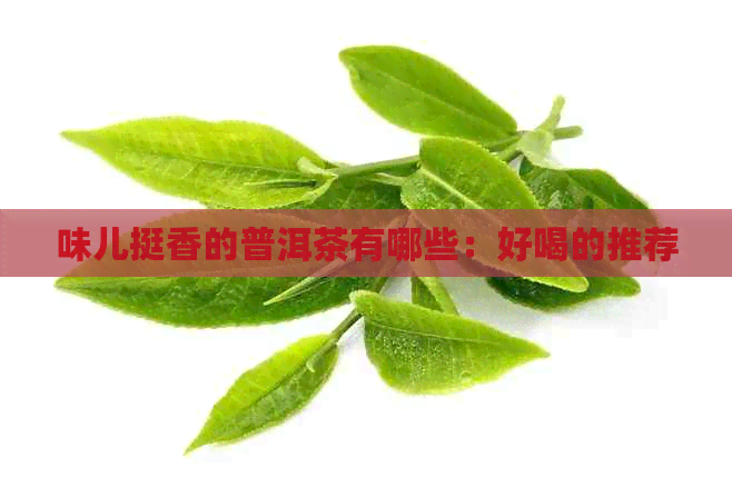 味儿挺香的普洱茶有哪些：好喝的推荐