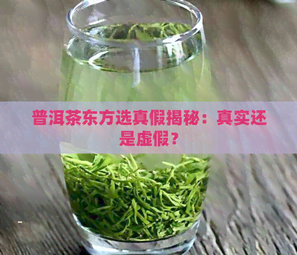 普洱茶东方选真假揭秘：真实还是虚假？