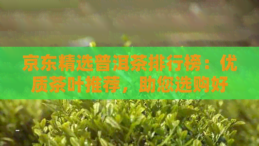 京东精选普洱茶排行榜：优质茶叶推荐，助您选购好茶