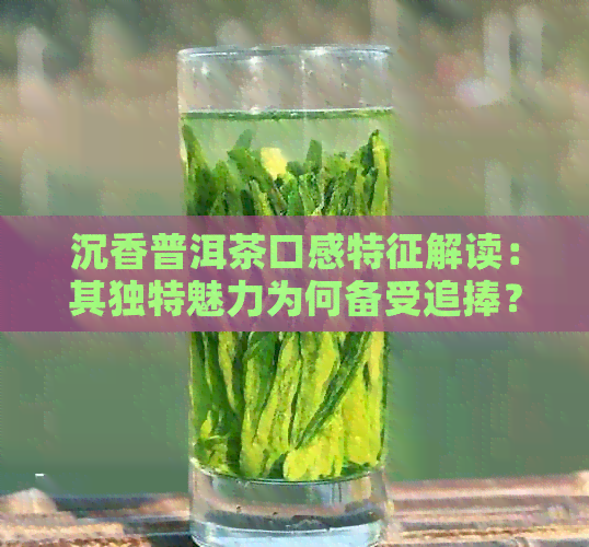 沉香普洱茶口感特征解读：其独特魅力为何备受追捧？