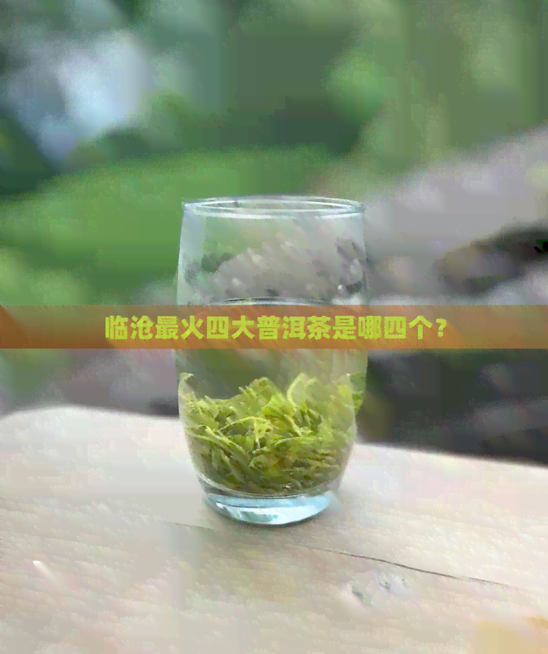 临沧最火四大普洱茶是哪四个？