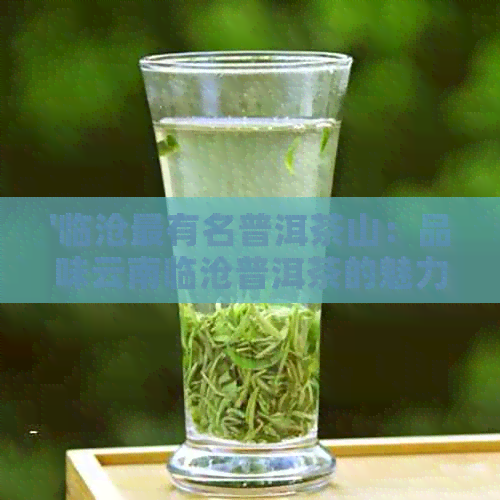 '临沧最有名普洱茶山：品味云南临沧普洱茶的魅力与特色'