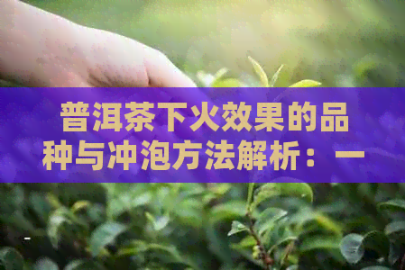 普洱茶下火效果的品种与冲泡方法解析：一篇全面解答用户疑问的文章