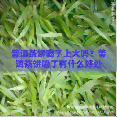 普洱茶饼喝了上火吗？普洱茶饼喝了有什么好处？