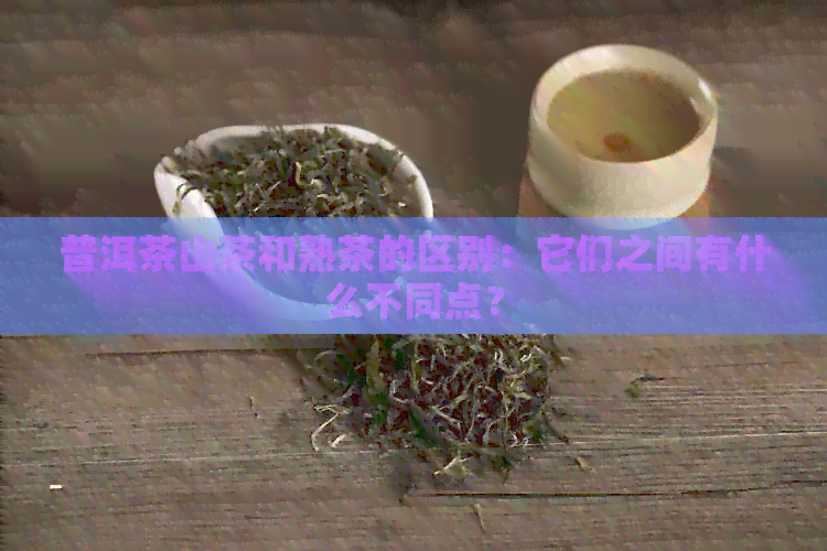 普洱茶山茶和熟茶的区别：它们之间有什么不同点？