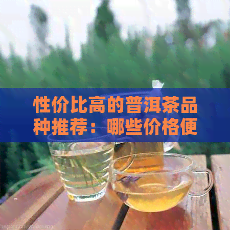 性价比高的普洱茶品种推荐：哪些价格便宜又好喝？