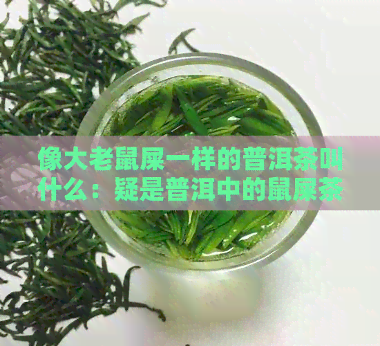 像大老鼠屎一样的普洱茶叫什么：疑是普洱中的鼠屎茶。