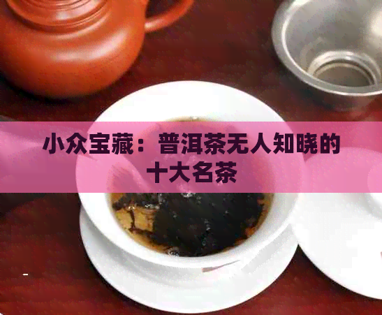 小众宝藏：普洱茶无人知晓的十大名茶