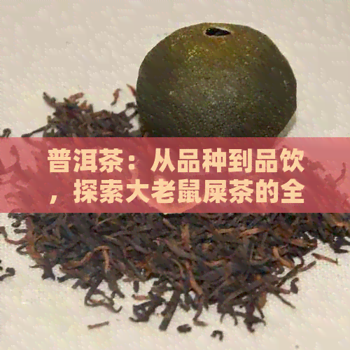 普洱茶：从品种到品饮，探索大老鼠屎茶的全方位解析与评价